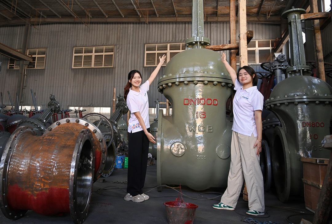 大型自動(dòng)化閥門(mén)，已成為現(xiàn)代化工業(yè)管道系統(tǒng)中不可或缺的關(guān)鍵設(shè)備